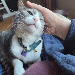 Meet your Posher, Joseph